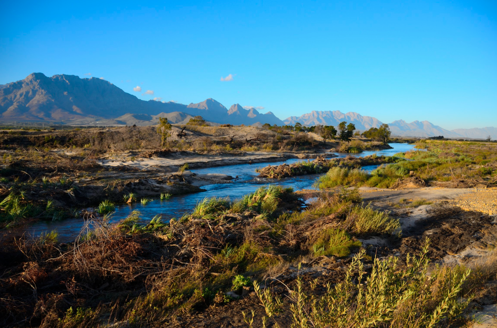 Project showcase: Biological Invasions in South Africa